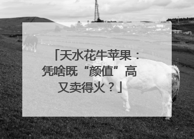 天水花牛苹果：凭啥既“颜值”高又卖得火？