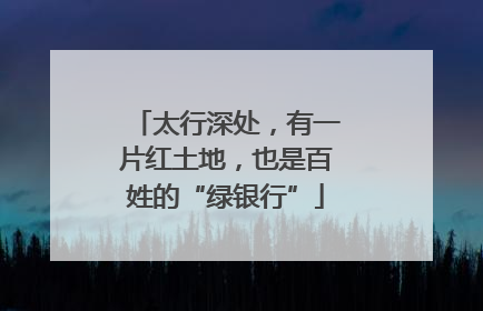 太行深处，有一片红土地，也是百姓的“绿银行”