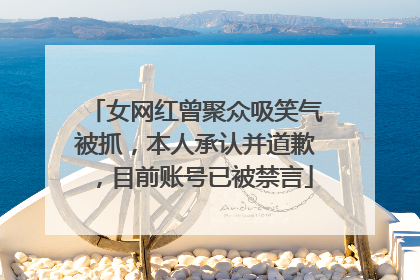 女网红曾聚众吸笑气被抓，本人承认并道歉，目前账号已被禁言