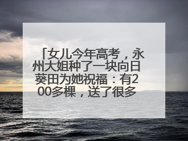 女儿今年高考，永州大姐种了一块向日葵田为她祝福：有200多棵，送了很多给其他家长