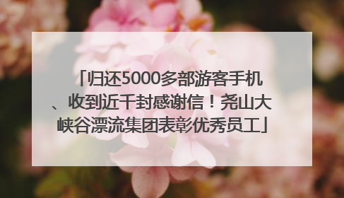 归还5000多部游客手机、收到近千封感谢信！尧山大峡谷漂流集团表彰优秀员工