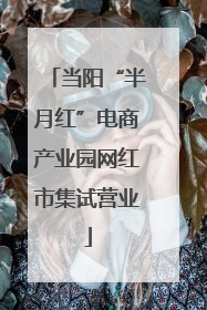 当阳“半月红”电商产业园网红市集试营业