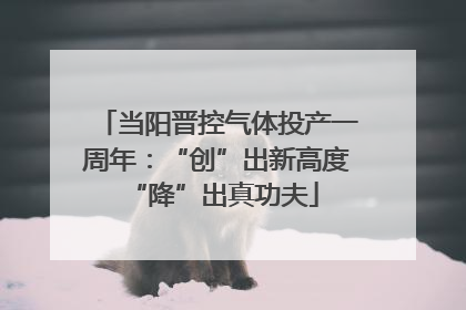 当阳晋控气体投产一周年：“创”出新高度 “降”出真功夫