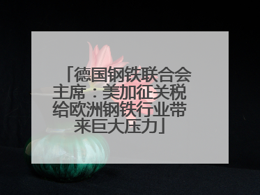 德国钢铁联合会主席：美加征关税给欧洲钢铁行业带来巨大压力