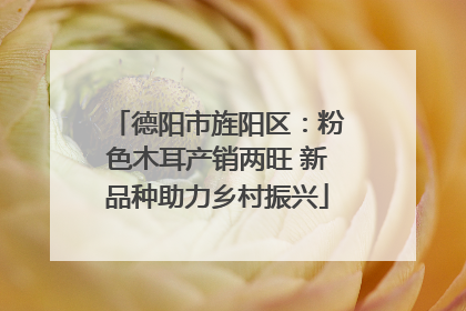 德阳市旌阳区：粉色木耳产销两旺 新品种助力乡村振兴