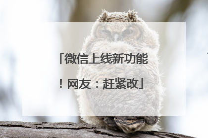 微信上线新功能！网友：赶紧改