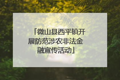 微山县西平镇开展防范涉农非法金融宣传活动