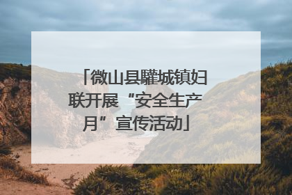 微山县驩城镇妇联开展“安全生产月”宣传活动