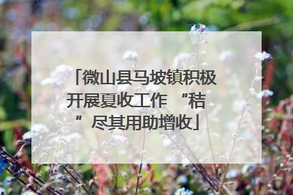 微山县马坡镇积极开展夏收工作 “秸”尽其用助增收