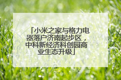 小米之家与格力电器落户济南起步区，中科新经济科创园商业生态升级