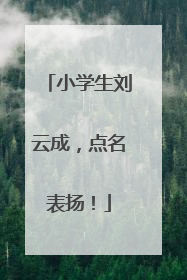 小学生刘云成，点名表扬！