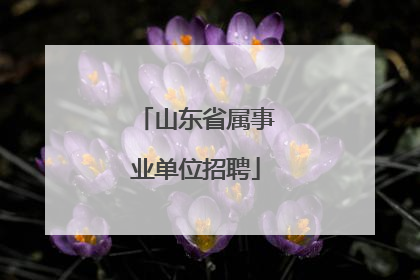 山东省属事业单位招聘