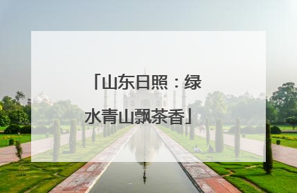 山东日照：绿水青山飘茶香