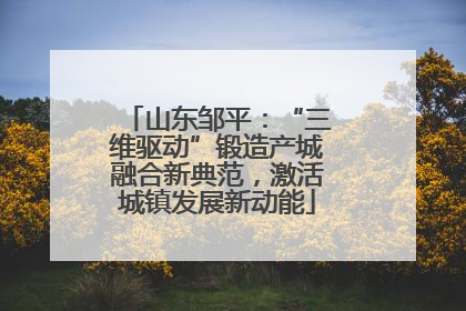 山东邹平：“三维驱动”锻造产城融合新典范，激活城镇发展新动能