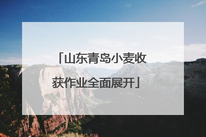 山东青岛小麦收获作业全面展开