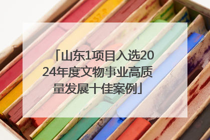 山东1项目入选2024年度文物事业高质量发展十佳案例