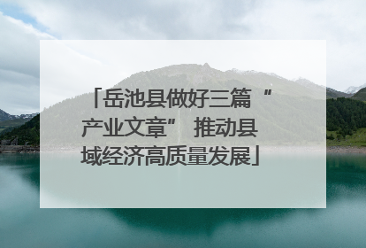 岳池县做好三篇“产业文章” 推动县域经济高质量发展