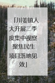 川姜镇人大开展二季度集中视察 聚焦民生项目落地见效