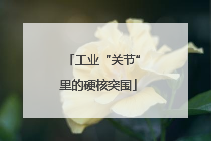 工业“关节”里的硬核突围