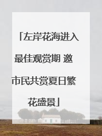 左岸花海进入最佳观赏期 邀市民共赏夏日繁花盛景
