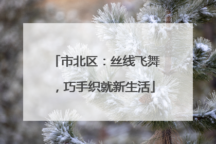 市北区：丝线飞舞，巧手织就新生活