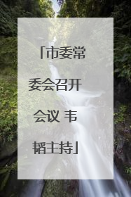 市委常委会召开会议 韦韬主持