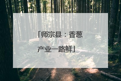 师宗县：香葱产业一路鲜