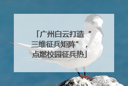 广州白云打造“三维征兵矩阵”，点燃校园征兵热