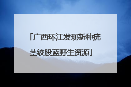 广西环江发现新种疣茎绞股蓝野生资源