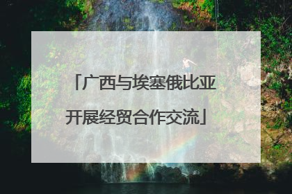 广西与埃塞俄比亚开展经贸合作交流