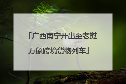 广西南宁开出至老挝万象跨境货物列车
