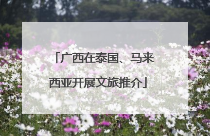 广西在泰国、马来西亚开展文旅推介