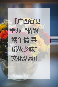 广西容县举办“侨聚端午情·寻觅故乡味”文化活动