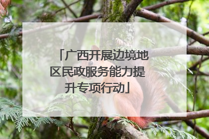 广西开展边境地区民政服务能力提升专项行动
