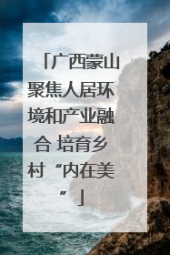 广西蒙山聚焦人居环境和产业融合 培育乡村“内在美”