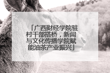 广西财经学院驻村干部搭桥，新闻与文化传播学院赋能油茶产业振兴