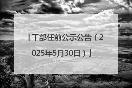 干部任前公示公告（2025年5月30日）