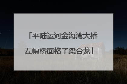 平陆运河金海湾大桥左幅桥面格子梁合龙