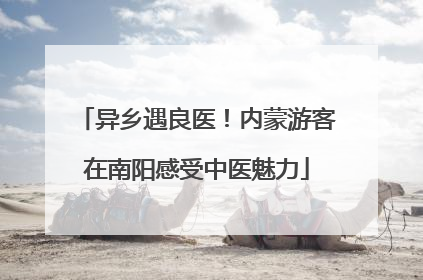异乡遇良医！内蒙游客在南阳感受中医魅力