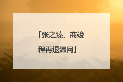 张之臻、商竣程再退温网