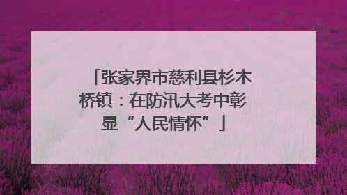 张家界市慈利县杉木桥镇：在防汛大考中彰显“人民情怀”