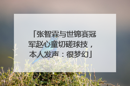 张智霖与世锦赛冠军赵心童切磋球技，本人发声：很梦幻
