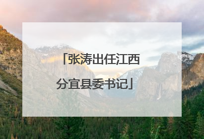 张涛出任江西分宜县委书记
