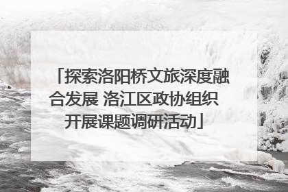探索洛阳桥文旅深度融合发展 洛江区政协组织开展课题调研活动