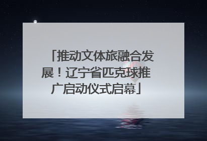 推动文体旅融合发展！辽宁省匹克球推广启动仪式启幕