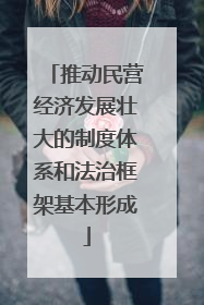 推动民营经济发展壮大的制度体系和法治框架基本形成