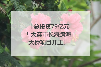 总投资79亿元！大连市长海跨海大桥项目开工