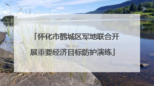 怀化市鹤城区军地联合开展重要经济目标防护演练