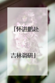 怀进鹏赴吉林调研