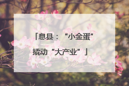息县：“小金蛋”撬动“大产业”